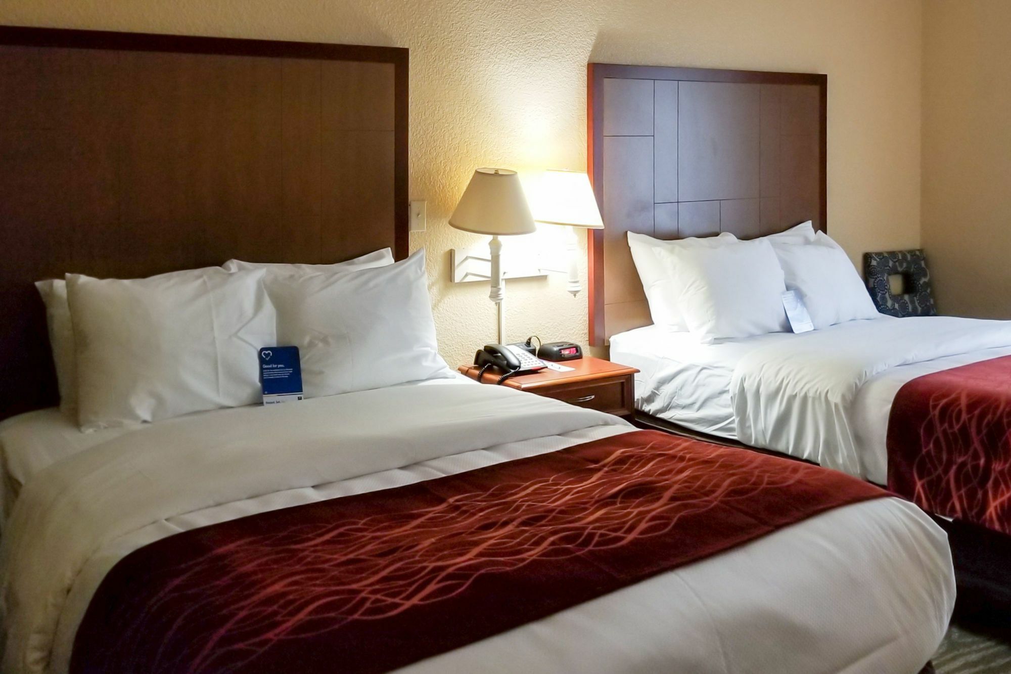 Comfort Inn & Suites Near Six Flags & Medical Center San Antonio Exterior foto