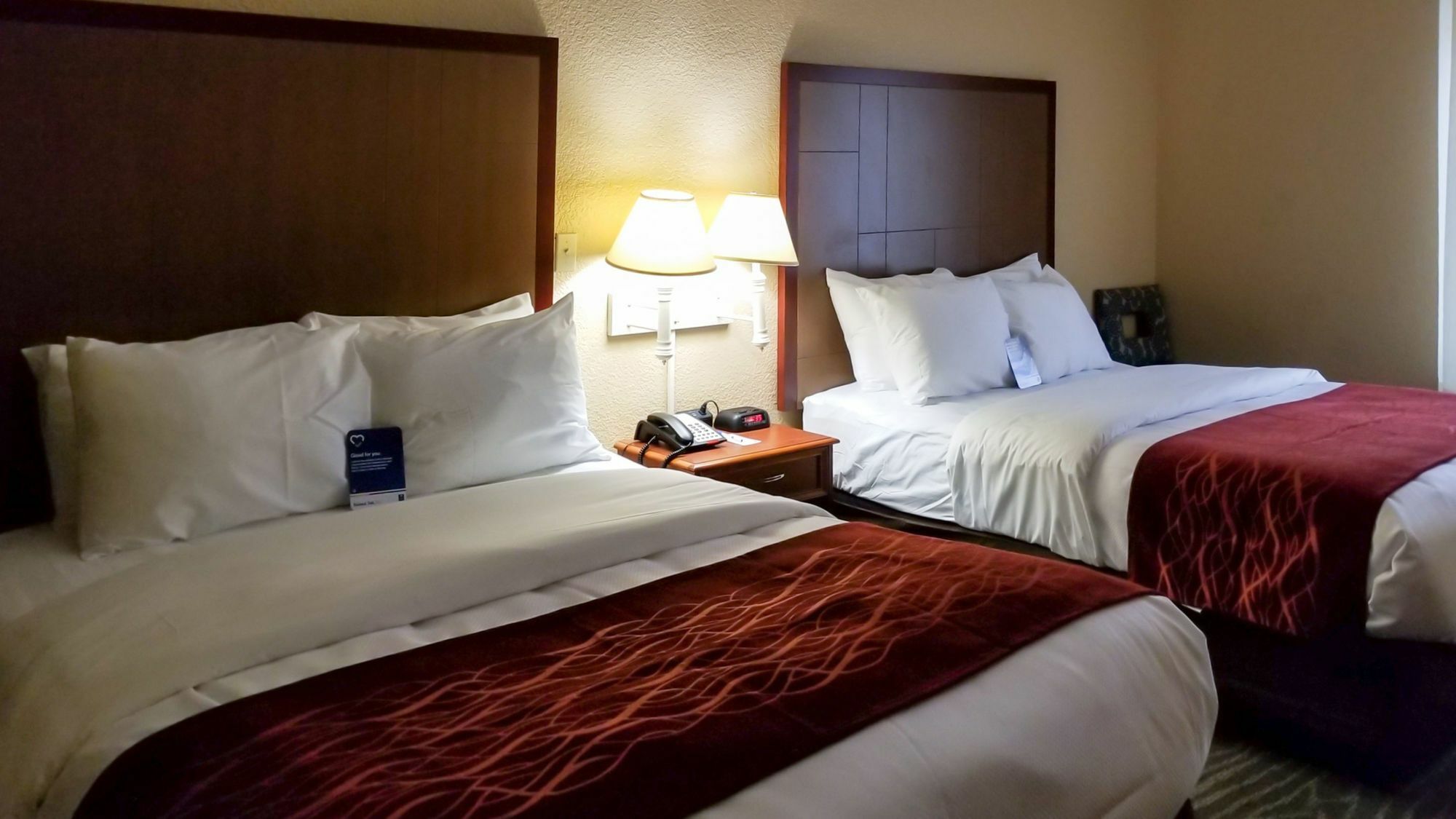 Comfort Inn & Suites Near Six Flags & Medical Center San Antonio Exterior foto
